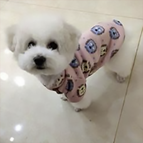 Cute Print Small Dog Hoodie Coat Winter Warm Pet Clothes for Shih Tzu Sweatshirt Puppy Cat Pullover Dogs Pets Clothing Chihuahua