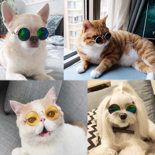 For Dogs Cats Pet Accessories Glasses Sunglasses Harness Accessory Petty Products Decorations Lenses Gadgets Goods For Animals Shih Tzus