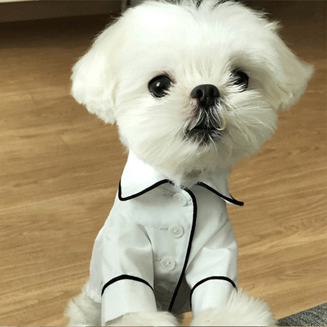 Luxury Clothes for Shih Tzu Fashion Dog Pajamas Pet Clothing for Shih Tzu Jacket