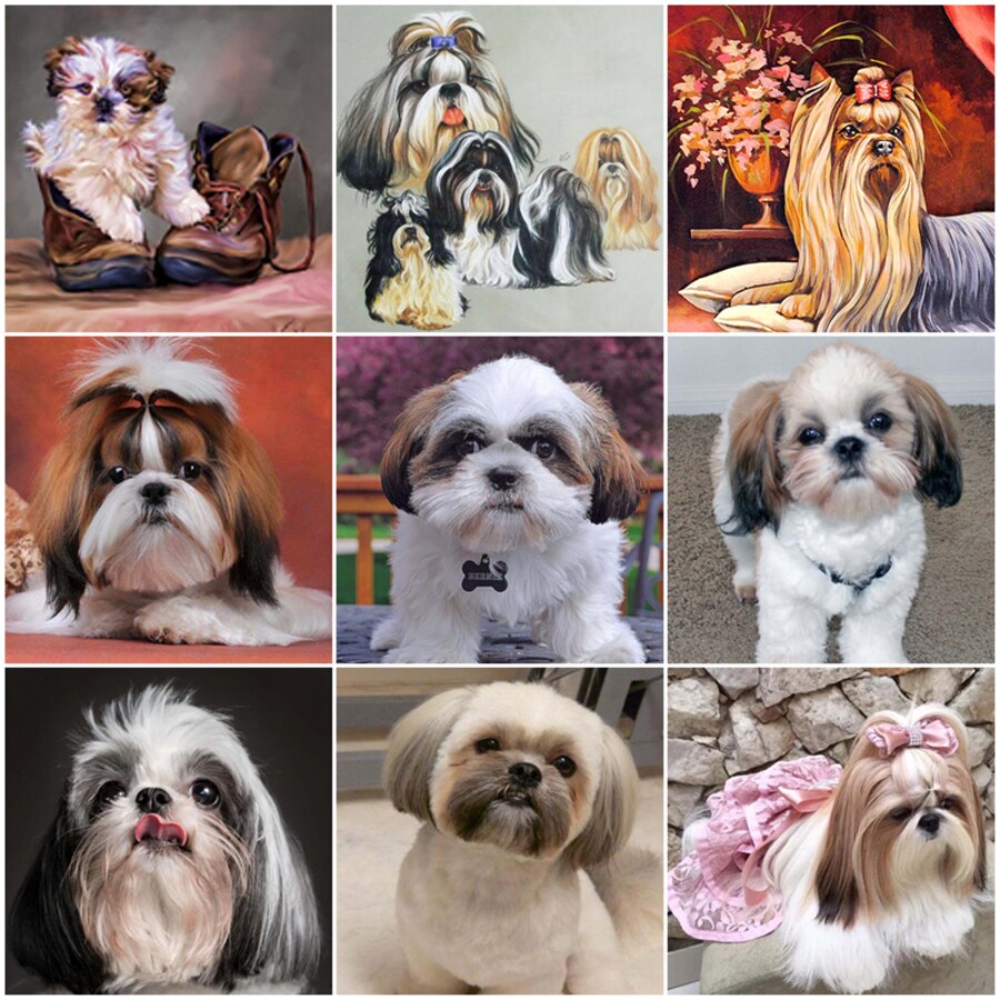 5D Diy Diamond Painting by Number Shih Tzu Dog Picture Rhinestone Embroidery Animal Pet Mosaic Diamond Art Puppy Cross Stitch