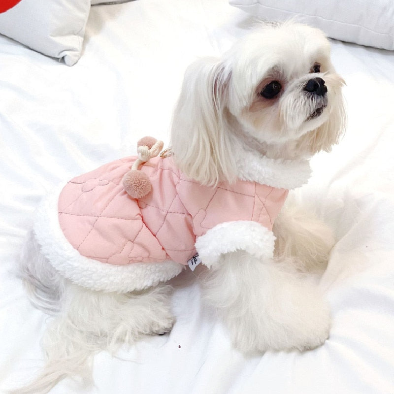 Shih Tzu Winter Clothes Coat Jacket Shih Tzu Clothing Outfit Garment Shih Tzu Costumes